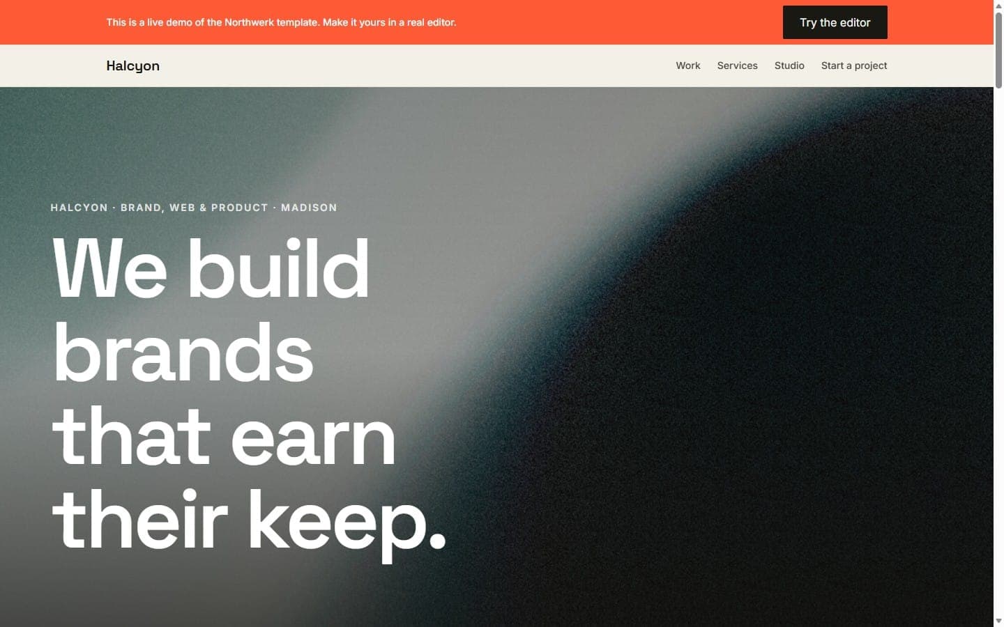 Halcyon demo homepage: a brand and product studio marketing site.